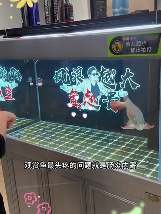 养鱼先养水,养水先养菌,如果你的鱼老是死鱼,可以试试这个速倍妥富氧益生菌,它里面的微生物可以分解食物残渣和鱼便,从而净化水质。而且它是通用的,不管是热带鱼还是冷水鱼都能用,它的活性很强,能快速繁殖,喜欢养鱼的朋友赶紧试试吧! #憋笑大挑战