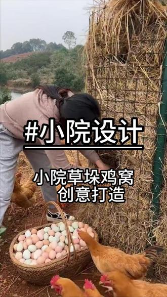 大家觉得这个改造怎么样?#攀爬虎集团 #创意设计 #小院规划 #变废为宝 #手工