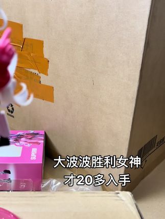 谁还敢说 便宜的翻模没好货的? 20多 这品质 来来来 比比比#手办 #手办模型 #二次元 #胜利女神 #胜利女神nikke