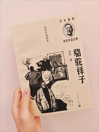 拆书丨骆驼祥子 作为七年级必读名著之一,我选择了人民文学出版社由高荣生画的插图本
高荣生插画版通过视觉艺术重构1930年代的北平场景
为了让孩子对这本书有想要读的冲动,我们提前听了喜马拉雅王金鑫精读《骆驼祥子》,王金鑫的精读音频用声音戏剧化呈现祥子的内心独白。这种多媒介接触完美解决了青少年进入经典的"时代隔膜"问题。女儿带着兴趣开启了这本书的阅读。
也许这就是老舍文学作品的生命力
老舍说:“看生命,领略生命,解释生命,你的作品才有生命。”
青春期正是建立社会认知的关键期,祥子的故事让孩子理解:
▸ 社会环境对个体的塑造力
▸ 尊严与生存的永恒博弈
▸ 理想主义与现实主义的辩证关系
老舍用最地道的京白写出最普世的人性,这种"贴着人物写"的功力,正是文学经典永不过时的秘密。无论是孩子亦或我们自己,在阅读过程,恰是对先生"看生命、领略生命"创作理念的最好
一个人,一辆车,一座城,一个时代的命运,激荡着跨越时空的回响。