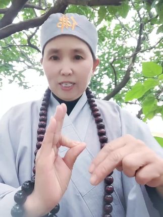 #65年的蛇 #77年的蛇 #89年的蛇