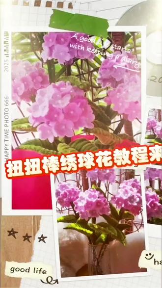 扭扭棒绣球花详细教程来啦#手工制作 #手工花朵制作方法 #手工花制作 #一花一草一世界 #看过来