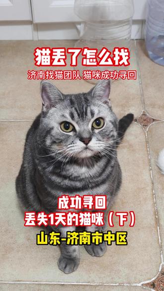 紧急!!!搜寻!!!济南市中区同城寻猫找猫本地专业寻宠团队 喵小汪寻宠团队接到猫主人委托:山东省济南市市中区乔先生的猫咪丢失了1天,猫咪丢失后主人立即进行了寻找,并联系了其他寻宠团队过来寻找,可最终还是没有找到猫咪,乔先生不想放弃寻找。最终找到我们委托帮忙寻找,经过我们专业的师傅寻找,终于帮助乔先生找回了猫咪,非常感谢乔先生对我们团队的信任与支持!
——
猫咪走丢了怎么办❓别慌❗这份找猫方法帮你快速找回您的爱宠🐕
猫咪走丢的黄金12小时一定要把握住!第一时间在家附近仔细寻找,猫咪通常会乱跑哦,如果您还是没有找回,建议您抓紧联系我们专业的寻宠团队,我们会尽全力帮您和爱宠团聚!!!✨#寻宠团队 #猫丢了怎么办 #猫丢了怎么找 #狗丢了怎么办 #济南找猫