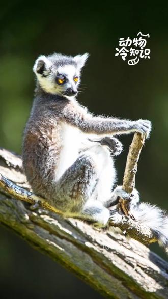 2026-2-5国际新闻