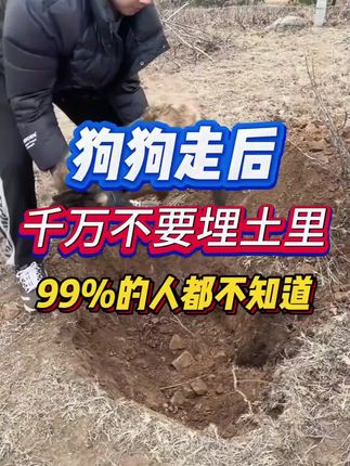 狗狗走后别再埋土里了!!!全做错了!! #养狗人 #狗狗 #宠物狗 #猫狗驱虫 #养狗经验分享