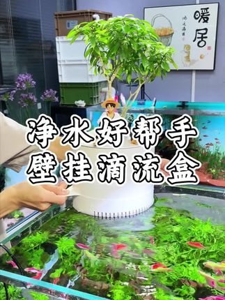 鱼缸鱼池过滤器净水循环养鱼周转箱增氧循环系统过滤设备【不带泵】#鱼缸净水 #养鱼周转箱 #养鱼必备 #过滤设备 #好物推荐🔥