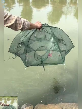 虾笼鱼网伞网鱼笼渔网捕鱼网螃蟹笼黄鳝笼泥鳅笼甲鱼黄鳝笼捕鱼网#鱼网 #虾网 #捕鱼笼 #鱼笼 #虾笼