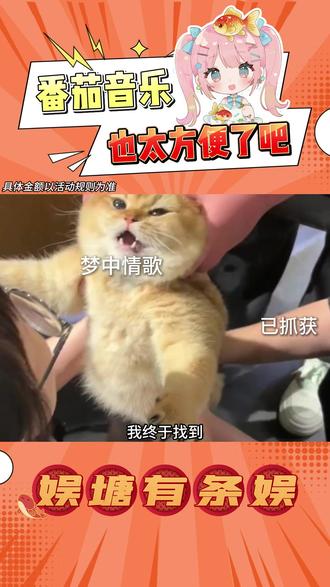 这也太方便了!!#番茄音乐