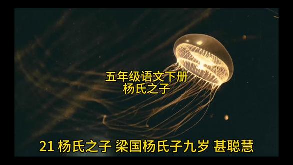 五年级语文下册,关注老师,跟着老师一起学习古诗词。#每天学习一点点 #涨知识 #古诗词