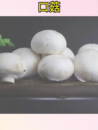 #口蘑 #白蘑菇 #美食推荐 【顺丰冷链】口蘑新鲜白蘑双孢菇火锅食材基地直发一整箱#双孢菇 #火锅食材