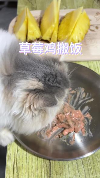 今天来个碎碎念配餐#超级可爱的小猫咪 #创作者中心 #创作灵感 #小猫咪沉浸式干饭