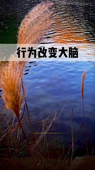 行为改变大脑#陈昌文老板社群#陈昌文读书会
