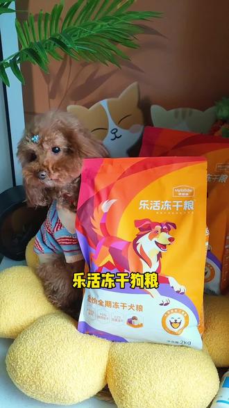 麦富迪新品乐活冻干狗粮,添加复合植物多酶,很适合肠胃不好体味大有口臭的狗狗#狗粮推荐 #麦富迪 #新手养狗 #狗狗肠胃不好 #狗狗口臭