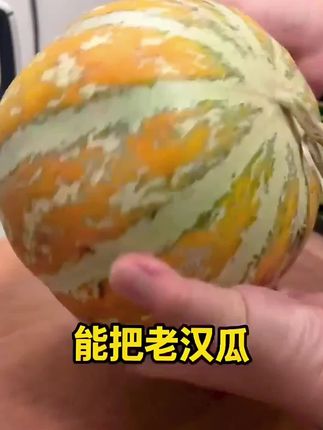 正宗新疆老汉瓜口感软糯多汁入口即化甘甜皮薄精品产地顺丰空运#软糯香甜 #新鲜采摘 #脆甜多汁 #应季水果 #优质水果