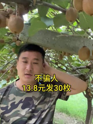 自己家的徐香猕猴桃熟啦,13.8元发30枚包邮#眉县猕猴桃酸甜刚刚好 #星乡村星农人 #猕猴桃 #上热门 #抖音美好丰收节