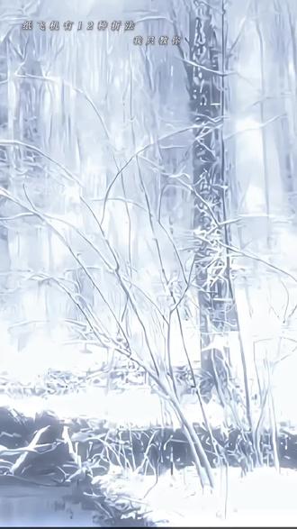 纸飞机有12种折法#纸飞机 #汤君赫杨煊