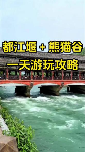 都江堰➕熊猫谷一日游攻略#成都旅游攻略#旅行推荐官#四川旅行#成都旅游