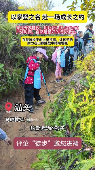 攀陡坡越沟壑!登山挑战,解锁孩子的勇气与韧劲!#营地教育 #汕头遛娃 #户外登山 #汕头周末溜娃好去处