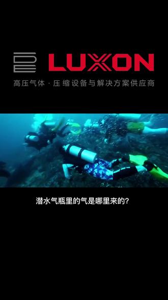 潜水小知识-呼吸空气哪里来的