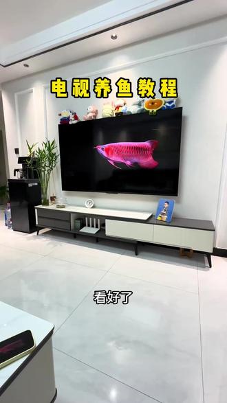 《浓香资源》电视养鱼教程来啦#电子养鱼#养鱼#电视养鱼教程#电视屏保#龙鱼
电视养鱼、电子养鱼、龙鱼、金龙鱼、钓鱼、鱼、金龙鱼电视屏保教程 电视、tcl电视