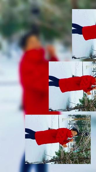 入冬以来最大一次下雪#公园雪景随拍🌹🌹🌹🍎🍎🍎