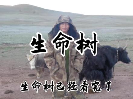 #生命树 #胡歌#金塔管道王