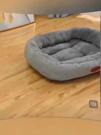 法兰绒宠物猫窝狗窝四季通用处理品捡漏#快来看看 #宠物用品 #舒适 #实用好物 #创作灵感