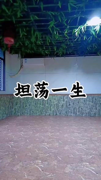 新舞推荐🔥#坦荡一生#曳步舞 背面