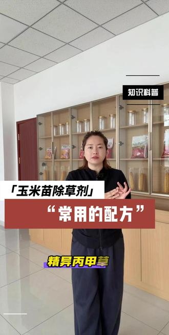 玉米苗后除草剂常用的配方 #分享农业知识帮农民增产增收 #传播农业知识传播正能量 #每天分享农业种植小知识 #玉米田苗后抗性杂草除草剂