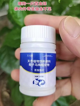 #养狗经验分享 #养狗的乐趣 #新手养狗#养狗日常 #养狗人