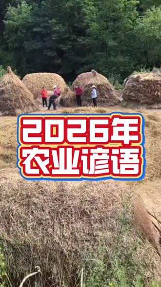 2026年农业谚语!#农业种植