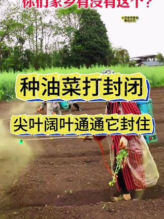 油菜地封闭,白菜地封闭,萝卜地封闭,整季地里干干净净#油菜地封闭 #封闭各种尖叶阔叶的 #白菜地封闭 #苗前封闭