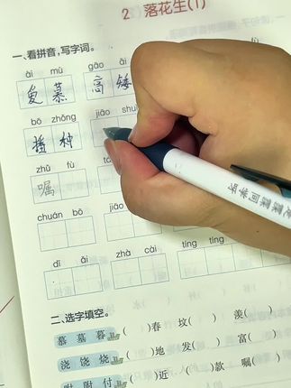 #四升五 夯实字词基础就用这本#学霸默写 题量少而精#学霸秘籍#学霸默写#小学语文