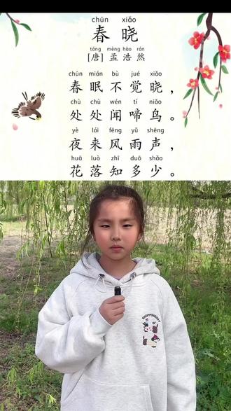 #上热门 小学必备古诗《春晓》#诗词 #古诗词