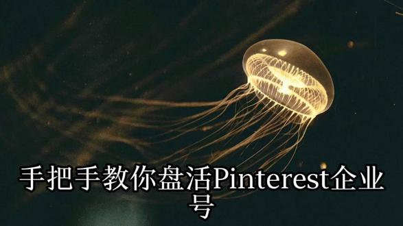 如何运营一个高转化的Pinterest企业账号 记住,用户是来“找灵感”的,不是来“买东西”的。你的内容,就是他们要的那个“答案”。
第一步:基础打牢,开通“Rich Pin”是生死线
别用普通账号的思路做企业号!立刻去官网申请开通Rich Pin(富媒体图钉)。这是你能在图片上直接显示实时价格、库存和产品描述的核心功能。开通后,即便用户把你的食谱或产品图保存到他的私人画板,这些信息也会一直跟随,点击直接回你官网。这是把Pinterest从展示板变成可追踪的引流渠道的第一步。
第二步:内容策略,打造“问题-解决方案”画板
忘掉“公司产品画板”这种自嗨分类。按用户搜索场景分,比如你是卖家居的,画板应该是“小户型收纳灵感”、“500元改造阳台”,而不是“沙发专区”。每个画板封面图要统一风格,用醒目的文字标注主题。每一张图,都是针对一个具体痛点(如“沙发太占地”)的视觉解决方案,并在描述中自然带入你的产品作为“神器”。
第三步:SEO与引流,描述区塞满长尾词
Pinterest的算法本质是搜索。上传图片时,标题、描述和Alt文本要像写小红书笔记一样,堆砌具体的长尾关键词。比如一张沙发图,描述别写“现代简约沙发”,要写成“适合20平客厅的奶油风小户型直排沙发”。在描述结尾,永远用行动号召引导,如“点击获取10套小客厅布局方案”,将流量精准引向你的落地页。#Pinterest企业账号运营方案 #Pinterest图片SEO优化技巧 #利用Pinterest为独立站引流 #PinterestRichPin设置教程 #Pinterest广告受众定位策略
