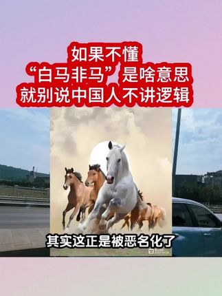 如果不懂“白马非马“是啥意思,就别说中国人不讲逻辑。,#讨论 #白马非马 #哲学 #名学 #正本清源
