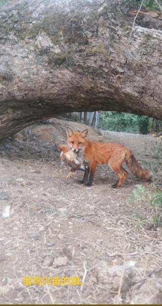 ##美术老师#看明白了吗 #