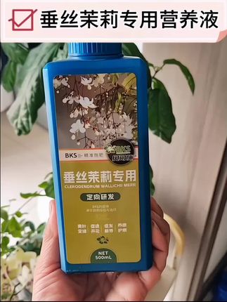 养好垂丝茉莉,平时给他用一些#垂丝茉莉营养液 促进垂丝茉莉生长,促开花,防黄叶干枯#垂丝茉莉专用营养液 #垂丝茉莉 #垂丝茉莉怎么养