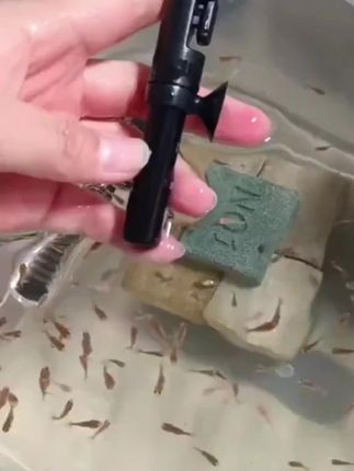 沃韦朗迷你加热棒,专为小缸设计,智能恒温,仅8cm长体积小不占空间#养鱼日记 #观赏鱼 #鱼缸加热棒 沃韦朗可调恒温加热棒鱼缸乌龟缸迷你小型加温棒防爆短小水族金鱼#养鱼