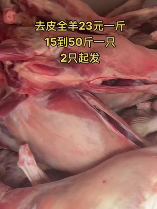 去皮全羊23元一斤，15到50斤一只，2只起发#全羊 #去皮全羊 #牛羊肉批发 #支持全国发货