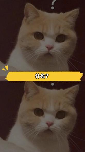 终于快过年了,离我的春节红包越来越近了! #uc浏览器#签到打卡#春节红包#红包#zy