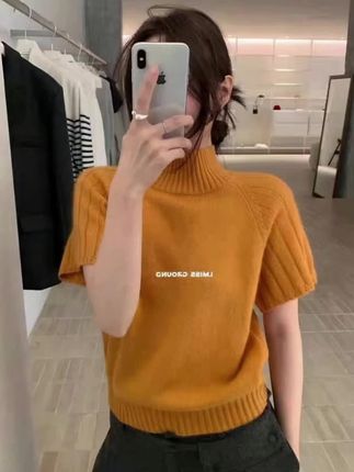 半袖针织衫上衣女秋冬新款韩系设计感小众半高领纯色套头毛衣