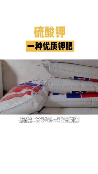 迪斯科纯硫酸钾肥,采用优质曼海姆钾,特别添加中量元素,微量元素,溶解快,全溶无渣,瓜,果,豆菜,膨果,着色,增甜必备👍
#新农人计划2023 #抖音助农 #农资肥料 #关注我每天为你分享更多农业知识 #诚信经营质量第一