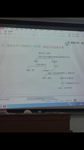 #学生化学实验 槐米中提取芦丁