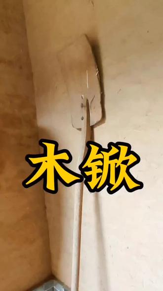 扬场麦撒一条线,
逆风出锨糠吹远。
前后打掠籽䴬展,
麦颗成堆农人欢。
风婆婆扬场来,擀下长面你尝来。放下杈把,拿起锨把,这里的锨说得是木掀。木锨属于碾打类农具,用处比较单一,主要是扬场,再就是冬天房顶铲个雪。
木锨头通常是整片纤维板做成,锨稍比锨底稍薄,开钝刃,偏后中间钉装木把,锨头朝上略翘,便于顺势进铲。
木锨分量轻,便于把粮食撂的更高,木头锨口,轻易不会铲起场皮,用它来摊麦卷粮也是用其所长。
碾场起场之后,最关键的就是扬场,为的是把麦颗里的䴬子、穗穗、面面土过滤出来。有风没风,睄一下树顶就知道。树稍摆的不疾不慢,风不大不小,就刚刚冁。
麦场里,不管早晚,只要起风,外前人卷起裤腿,精着脊背,两手合拢,嘴对着手心唾一口唾沫,脚尖勾起锨把握到手里。屋里人颡上扎个头巾,有些还不忘在脖子上围两圈,赶紧拾起扫帚立到斜对面。
扬场有巧道。会扬的出手一条线,胡扬的蹩一片。力道拿捏不好,越扬越着气,劲过大,麦颗跑到上风头,䴬子就跌到了麦堆上。劲偏小,麦颗要落到䴬子堆,一锨不慎就挏勻咧。木锨出手太直,麦颗落到掠麦的颡上。木锨收的太紧,麦颗要落到自己额颅上,麦芒扎人连疼带痒。单单就有只知道鼓闷劲,半晌扬不出场的人,急得转档档。
扫场有讲究。眼巧的屋里人,扫帚斜翘,逆着风向,轻轻划几下,就能把麦穗弹到上风头,留下的就是越来越高的锥形麦堆。扫帚掠过,麦堆泛着红光,不留一丝杂色。个别瓷嘛二楞笨手笨脚的婆娘,手忙脚乱扫上扫下不停暂,就是把麦颗麦穗䴬子分不开,麦颗里有柴禾,䴬子里有粮食,挣的一身水,还得受外前人的数说。
缓缓有了风扇,有了脱粒机,一两袋烟的功夫,麦颗就利利索索。再到圪蹴在地头起,谝着闲传说着笑话,看着康摆机子转圈圈,摸木锨扬场这门技艺,眼看着就要失传。