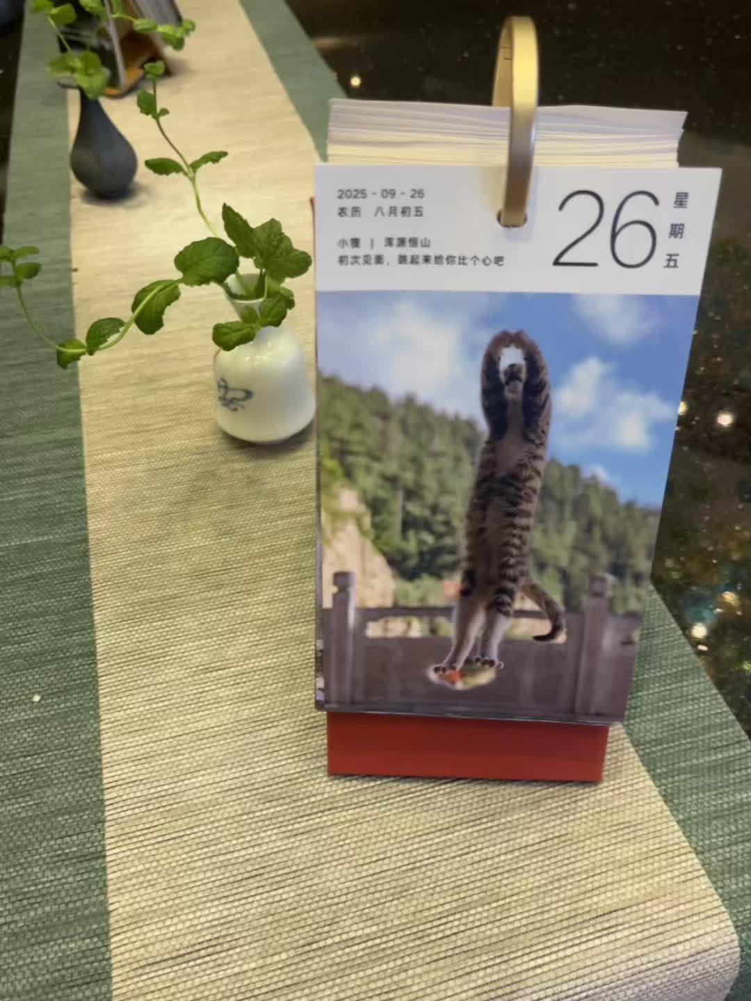 香遇 精油的香气和茶汤,都是自然的馈赠, 都在帮助我们更好地觉察和表达自我。” #香遇#精油#以茶会友