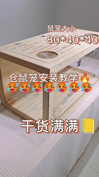 鼠笼安装教程#仓鼠#金丝熊 #鼠笼 #养鼠日常分享