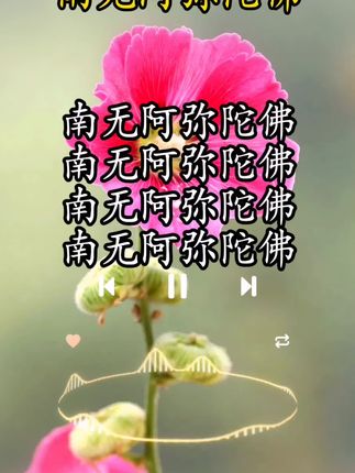 #阿弥陀佛
