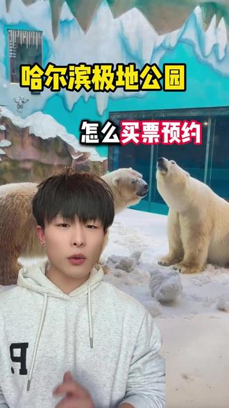 哈尔滨极地公园,怎么买票预约,怎么团购门票更合适更优惠 #哈尔滨极地公园 #哈尔滨极地公园门票 #哈尔滨极地公园游玩攻略 #哈尔滨极地公园门票优惠 #哈尔滨旅游攻略