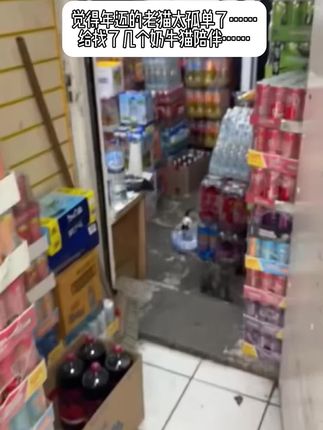 🐱:妈妈你是觉得我活的太久了吗……#洪一诺我看过